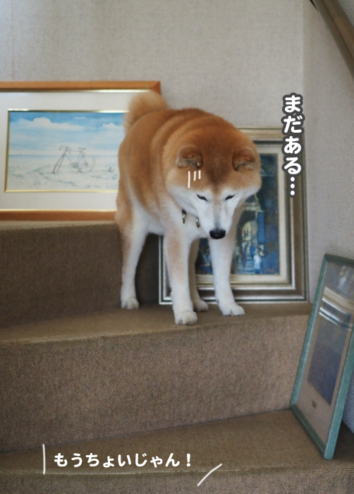 20日夕ブログ１０