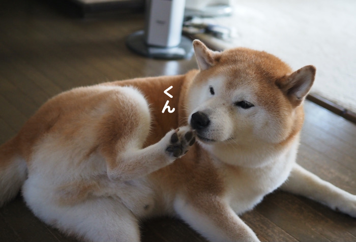 30日ブログ４