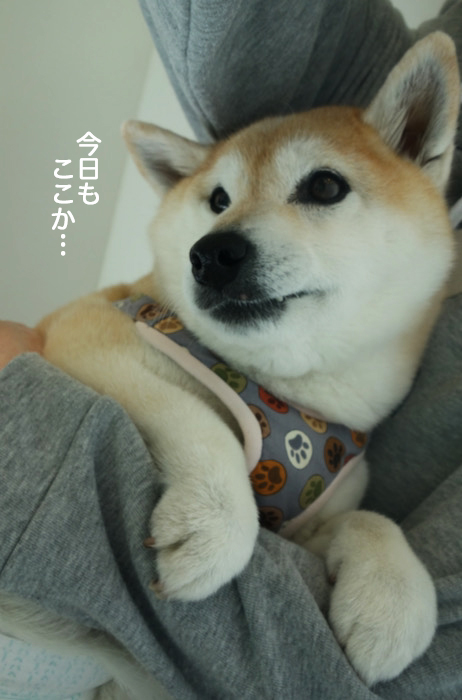 21日夜ブログ６