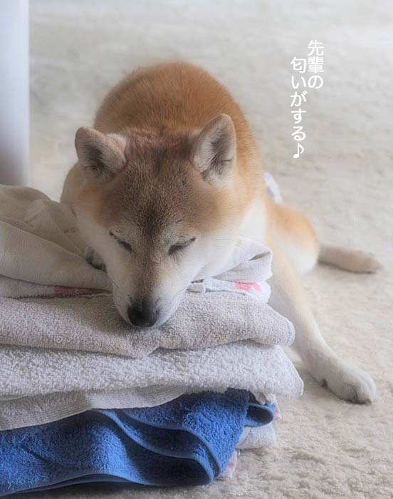 25日ブログ４
