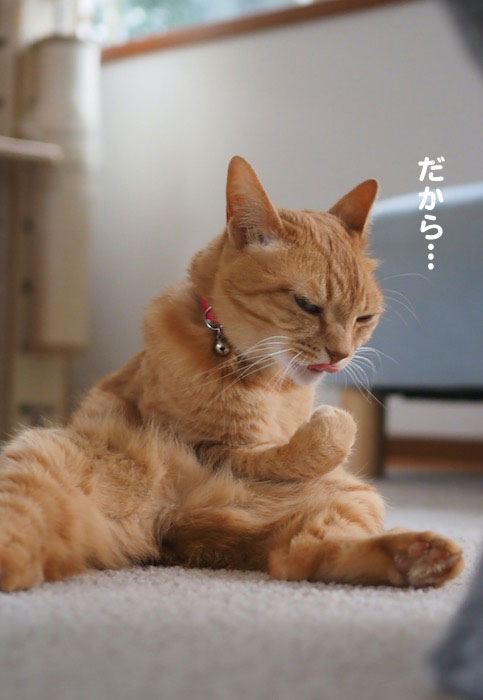 16日夕ブログ５