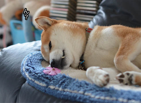 23日ブログ4.jpg