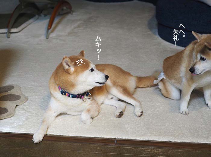 23日ブログ８