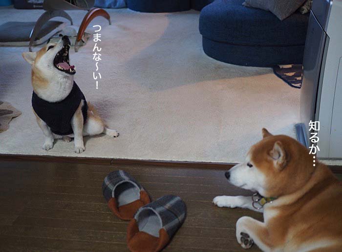2日夜ブログ７