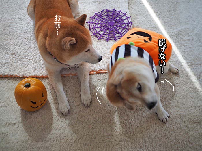 31日ブログ４