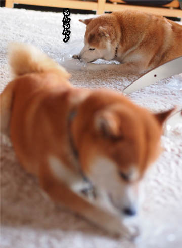22日ブログ11.jpg