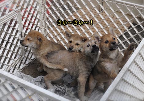 21日ブログ12.jpg