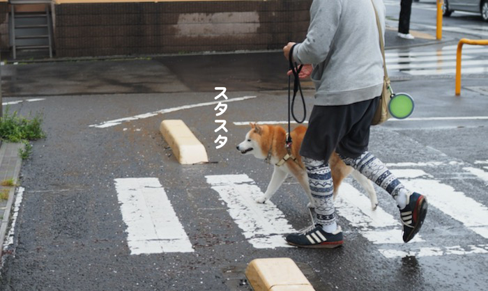 21日夕ブログ４