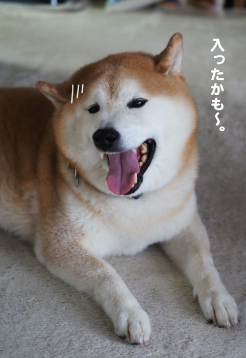 27日夕ブログ９