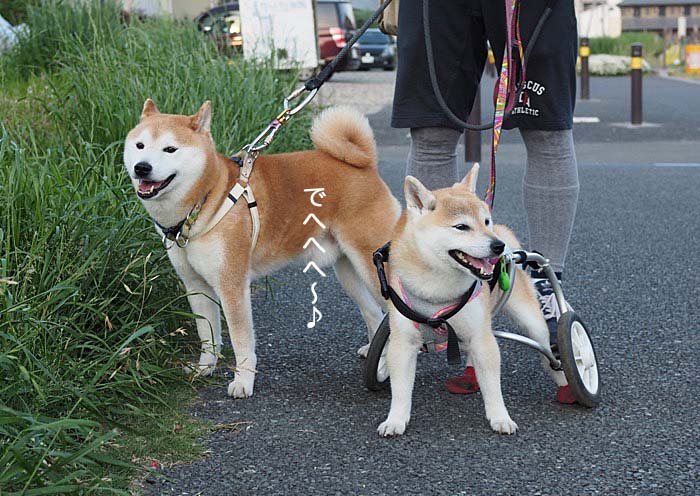 16日ブログ６