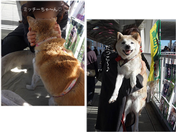 23日ブログ8
