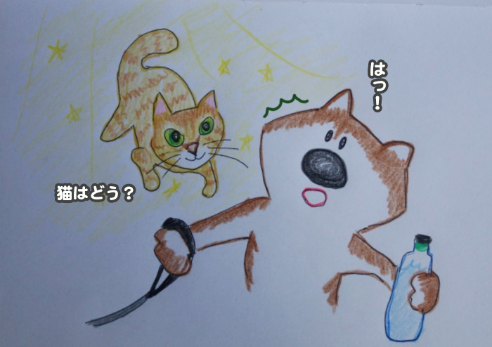 11日夕ブログ４