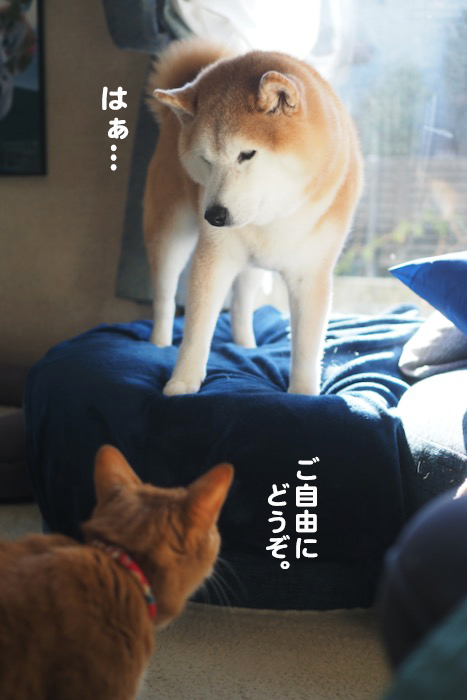 10日ブログ４