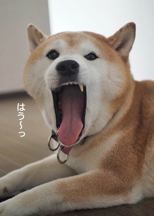 7日夜ブログ７