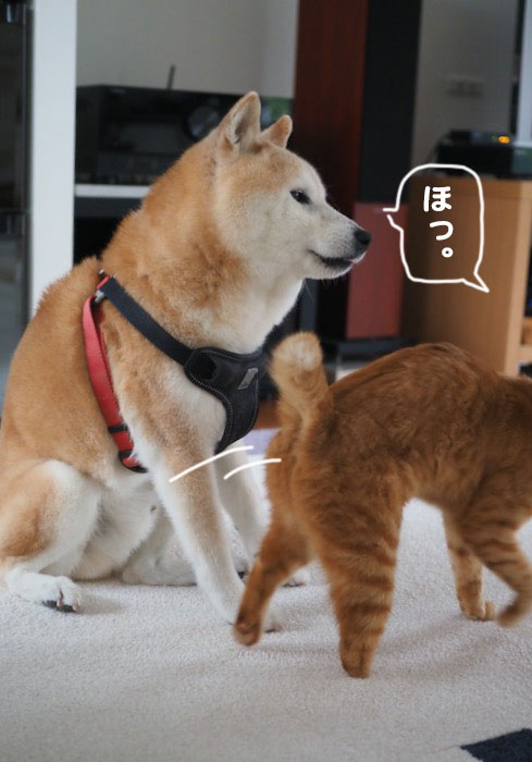 14日ブログ５