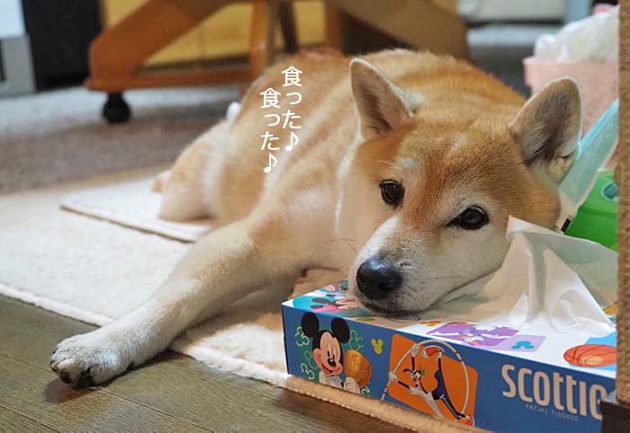 10日夜ブログ４
