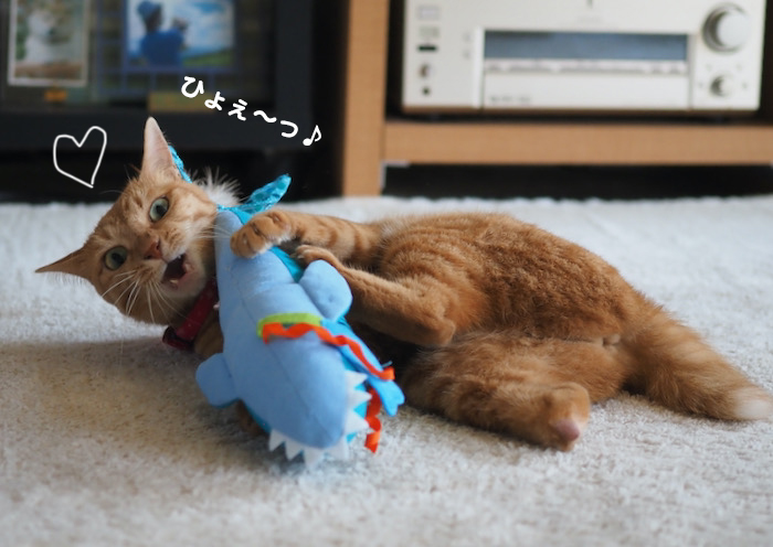 15日夜ブログ５