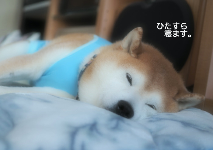 12日ブログ３