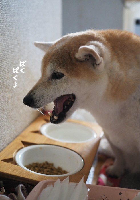 1日夜ブログ５
