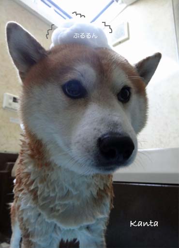 25日ブログ4.jpg