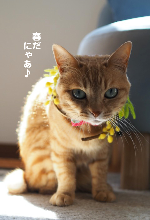 20日ブログ10