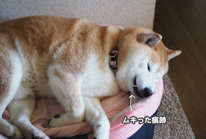 28日ブログ３