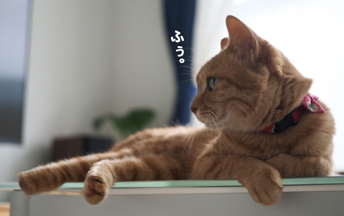19日の夕ブログ２