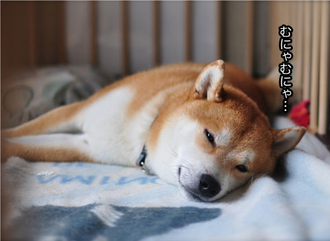 23日ブログ13.jpg
