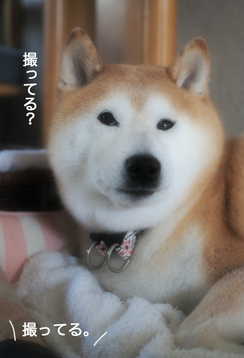 23日ブログ４