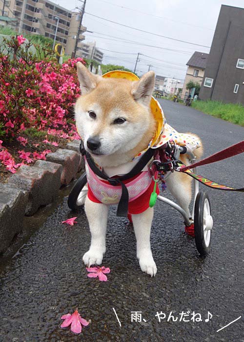 11日ブログ5