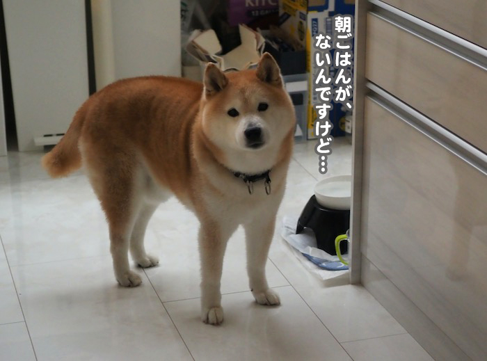 20日ブログ５