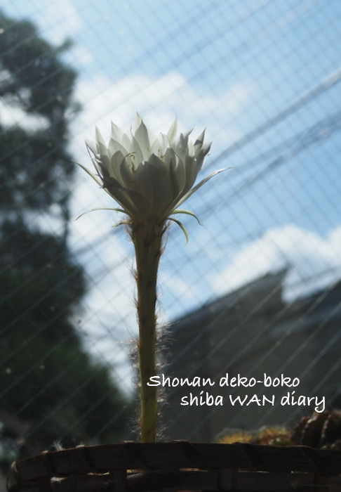11日ブログ１