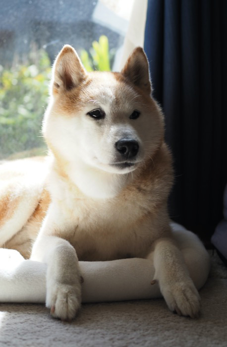 3日ブログ２