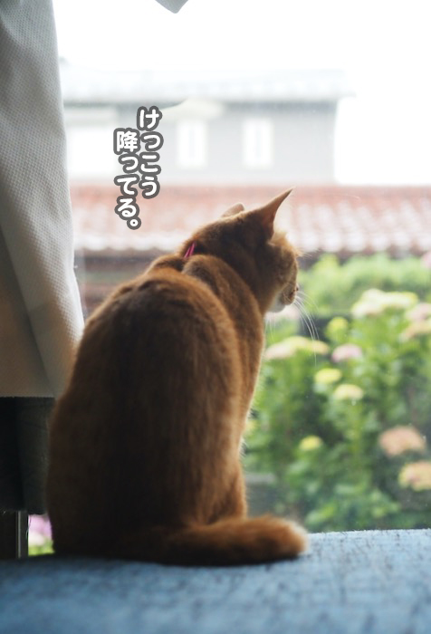 9日ブログ３