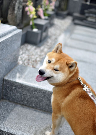 20日ブログ６.jpg