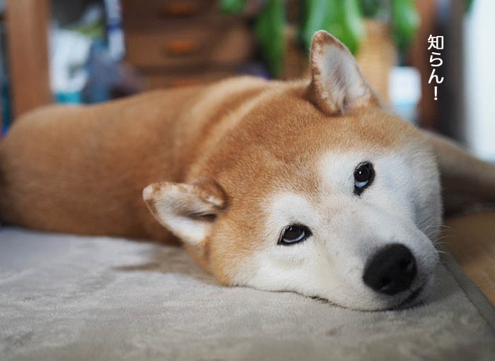 9日ブログ8