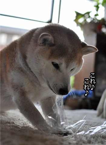 26日ブログ11.jpg