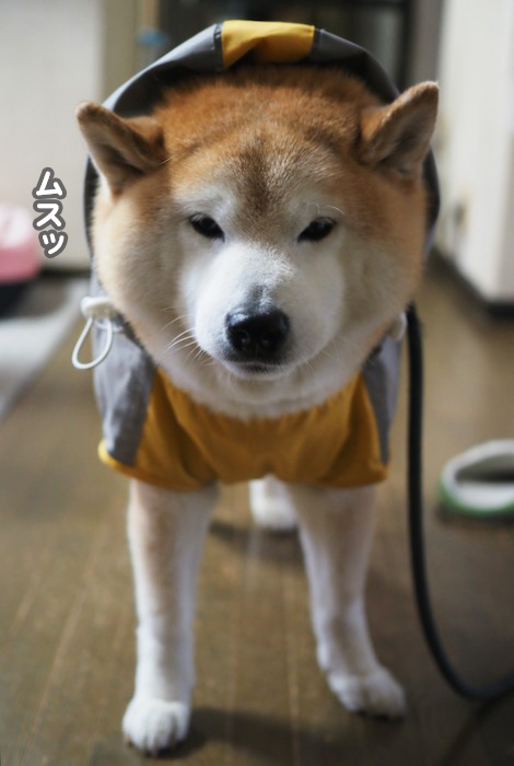 16日夕ブログ２