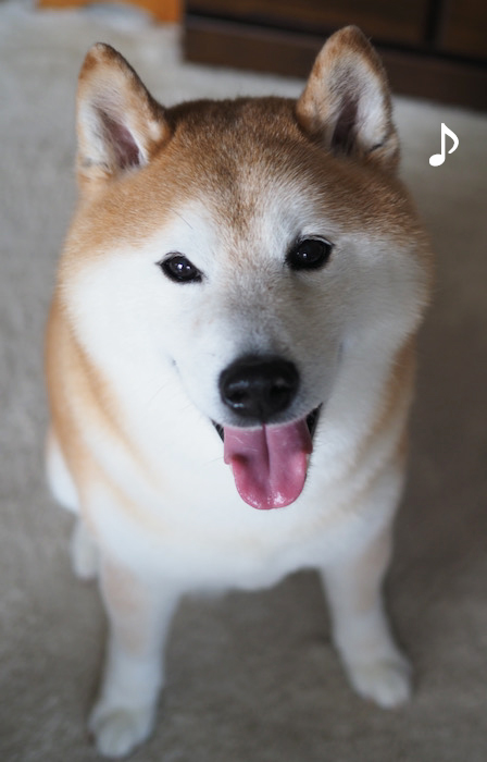 10日ブログ２
