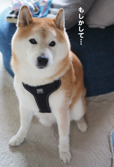 6日ブログ２