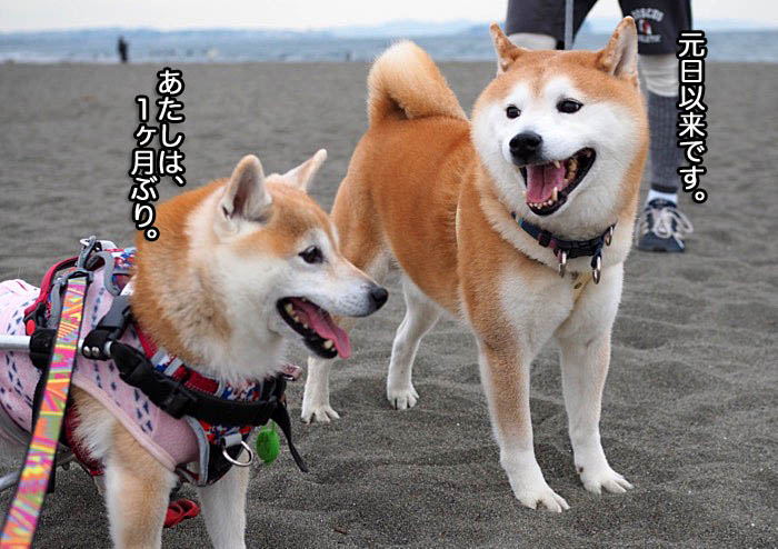 9日ブログ２