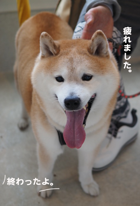 23日夕ブログ９