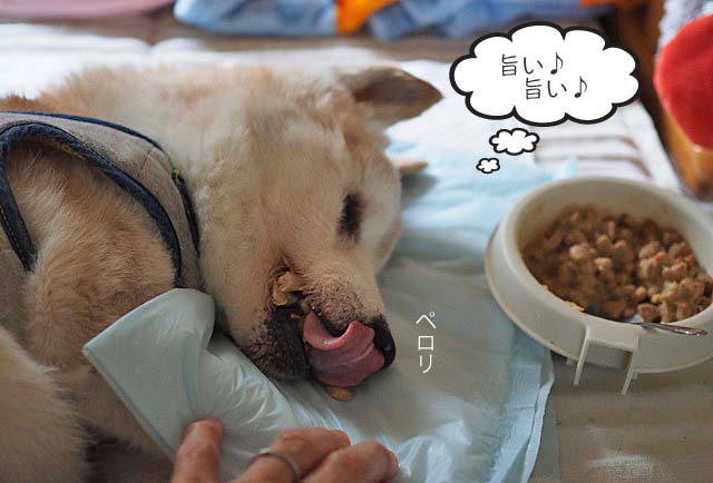 7日ブログ3