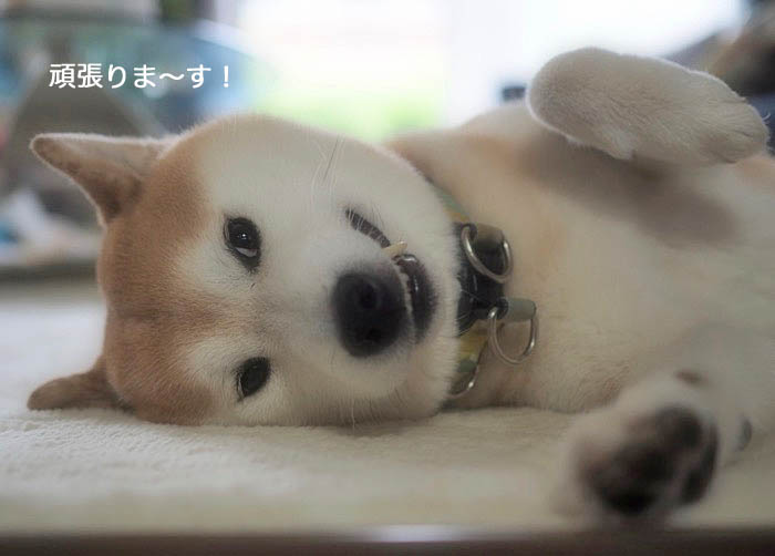 23日ブログ６