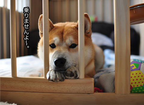 5日ブログ12.jpg