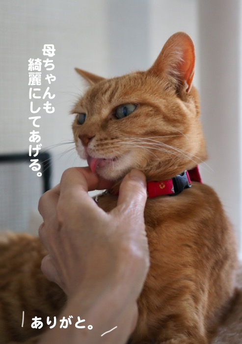 25日夕ブログ４
