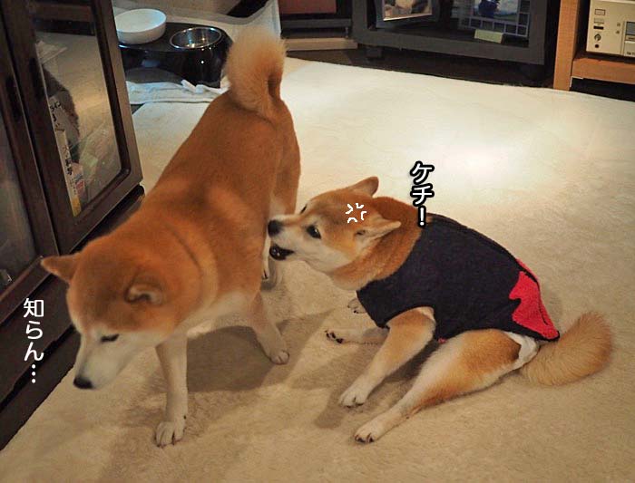 16日ブログ８