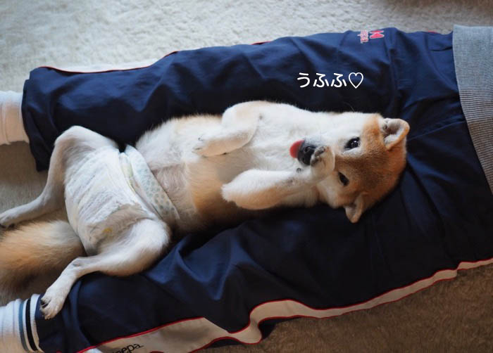 28日午前ブログ１