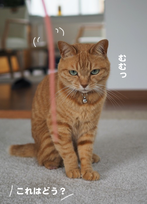4日夕ブログ３