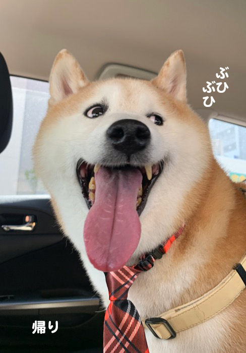 12日夕ブログ３